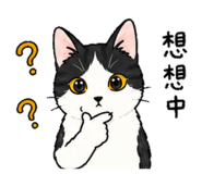 858206386