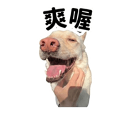 858207834