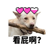 858207835