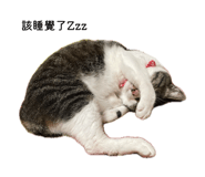858211871