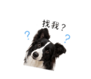 858212960