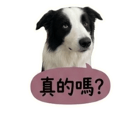 858213091