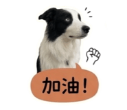 858213092