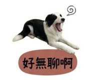 858213099