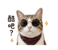 858213521