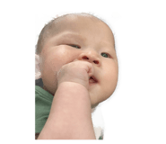 858213834