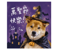 858214373