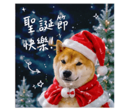 858214374