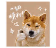 858214380