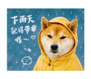 858214383