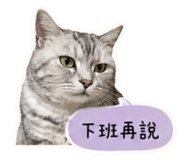 858214485