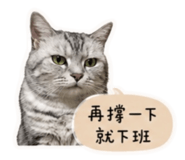 858214486