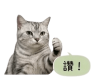 858214489
