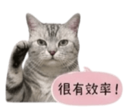 858214490