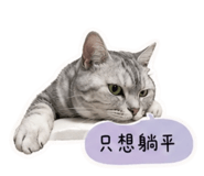 858214498