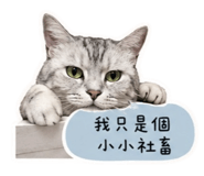 858214500