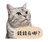 858214503