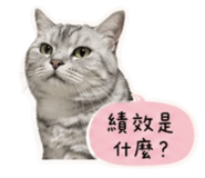 858214504