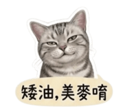 858215371