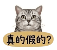 858215374