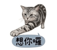 858215382