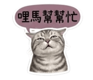 858215384