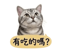858215388