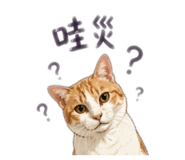 858216044