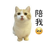 858216306