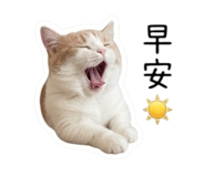 858216307