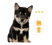 858217409