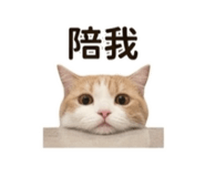 858217777