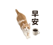 858217779