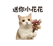 858217786