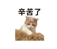 858217788