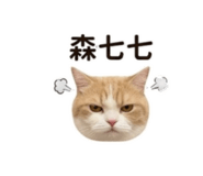 858217789