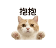 858217791