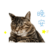 858218614