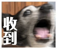 858219273