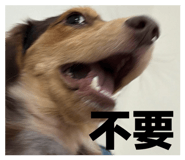 858219280