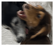 858219292