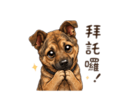 858220246