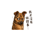 858220254