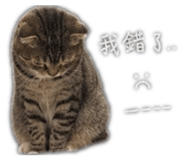 858220609