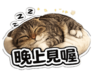 858220616