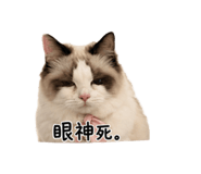 858220945