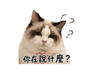 858220951