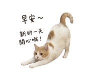 858220980
