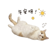 858220981