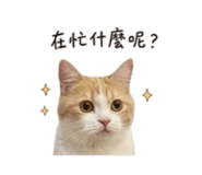 858220982
